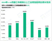 2024年1-10月份丽江市规模以上工业增加值同比增长9.0%