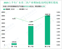2025上半年广东省实现地区生产总值68725.40亿元，同比增长4.2%