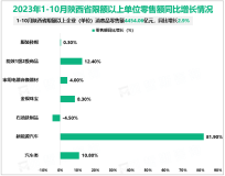 2023年1-10月陕西省限额以上企业消费品零售额4454.06亿元，同比增长2.9%