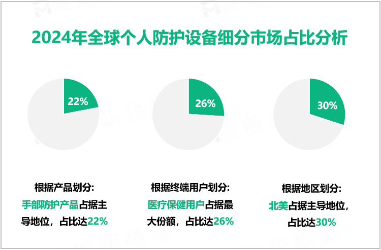 2024年全球个人防护设备细分市场占比分析