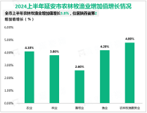 2024上半年延安市实现地区生产总值1129.08亿元，增长6.3%