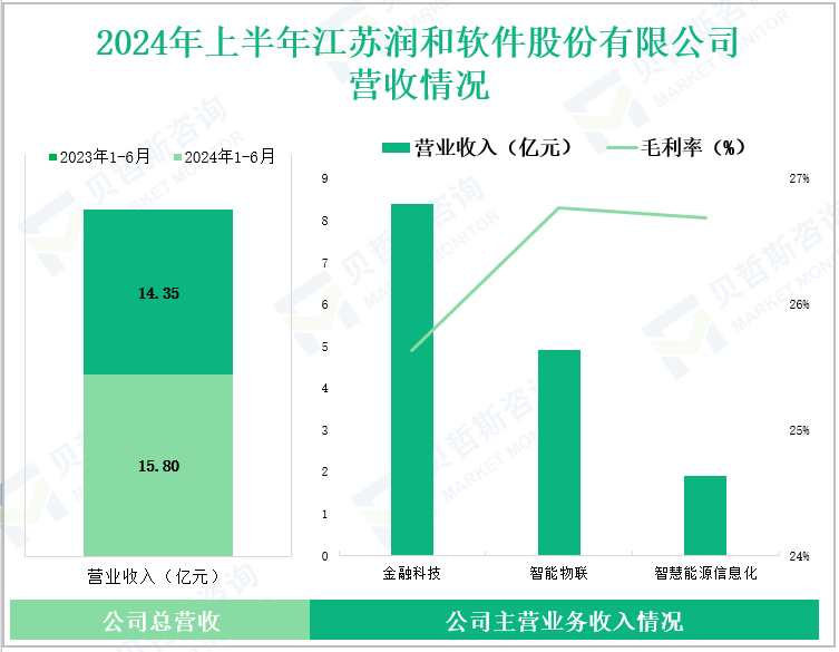 2024年上半年江苏润和软件股份有限公司营收情况