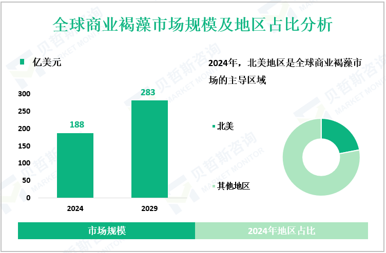 全球商业褐藻市场规模及地区占比分析
