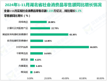 2024年1-11月湖北省社会消费品零售总额2.223万亿元，同比增长5.1%