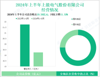 上能电气深耕光伏储能领域，其营收在2024年上半年为19.26亿元