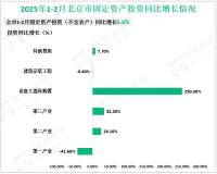 2025年1-2月北京市固定资产投资（不含农户）同比增长31.2%