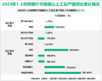 2024年1-2月阿图什市固定资产投资同比增长6.3%