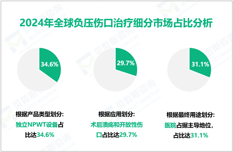 2024年全球负压伤口治疗细分市场占比分析