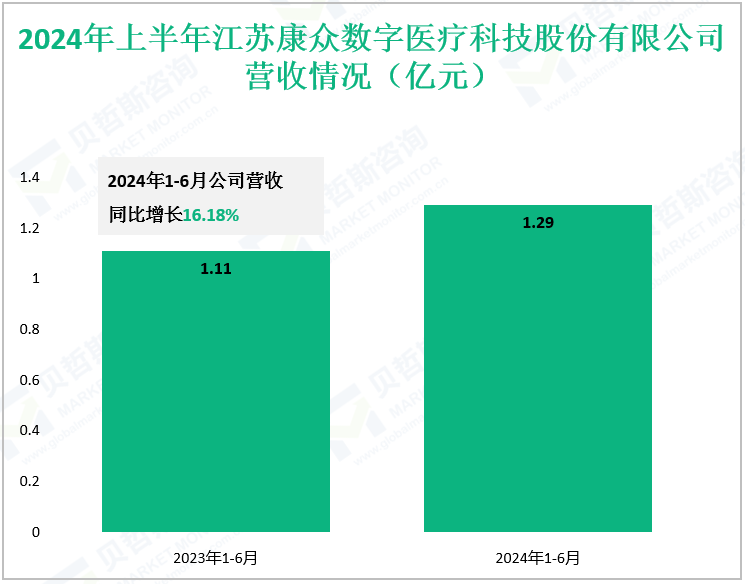 2024年上半年江苏康众数字医疗科技股份有限公司营收情况（亿元）