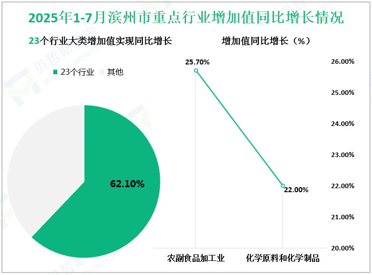 2025年1-7月滨州市重点行业增加值同比增长情况