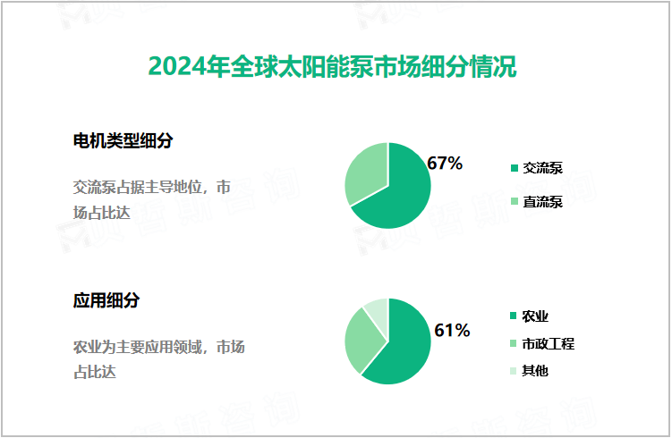 2024年全球太阳能泵市场细分情况