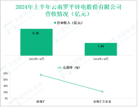 罗平锌电深耕铅锌全产业链，其营收在2024年上半年为7.04亿元
