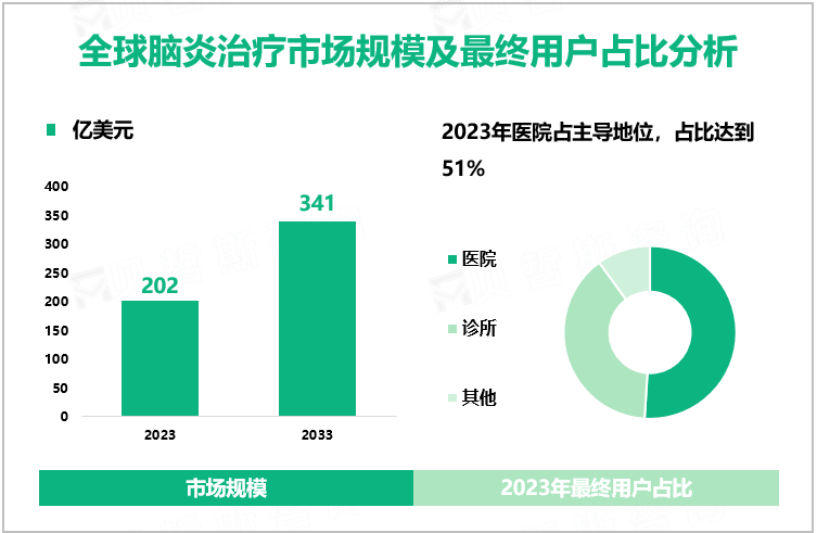 全球脑炎治疗市场规模及最终用户占比分析