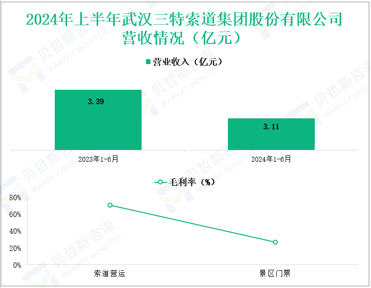 2024年上半年武汉三特索道集团股份有限公司营收情况(亿元)