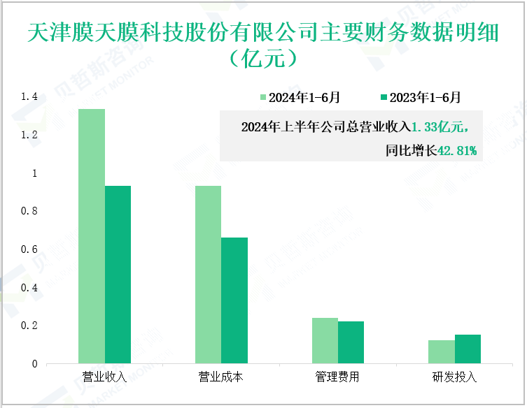 天津膜天膜科技股份有限公司主要财务数据明细(亿元)