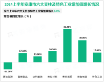 2024上半年安康市实现地区生产总值同比增长5.4%