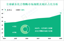 2024年全球碳水化合物酶市场规模为36亿美元，北美占比最大