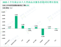 2025上半年南京市社会消费品零售总额4384.22亿元，同比增长5.3%