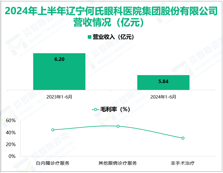 2024年上半年辽宁何氏眼科医院集团股份有限公司营收情况(亿元)