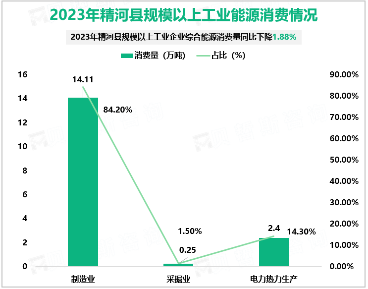 2023年精河县规模以上工业能源消费情况