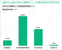 2025年1-10月洛阳市规模以上工业增加值同比增长8.7%