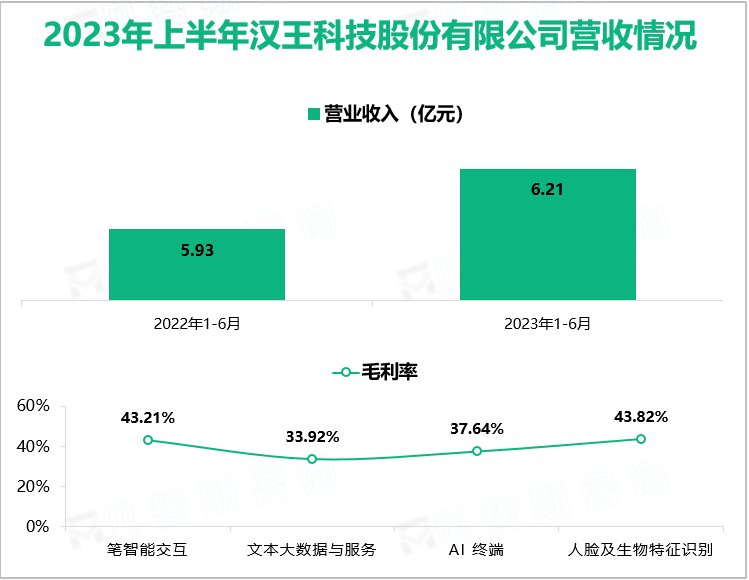 2023年上半年汉王科技股份有限公司营收情况