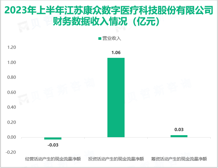 2023年上半年江苏康众数字医疗科技股份有限公司财务数据收入情况（亿元）