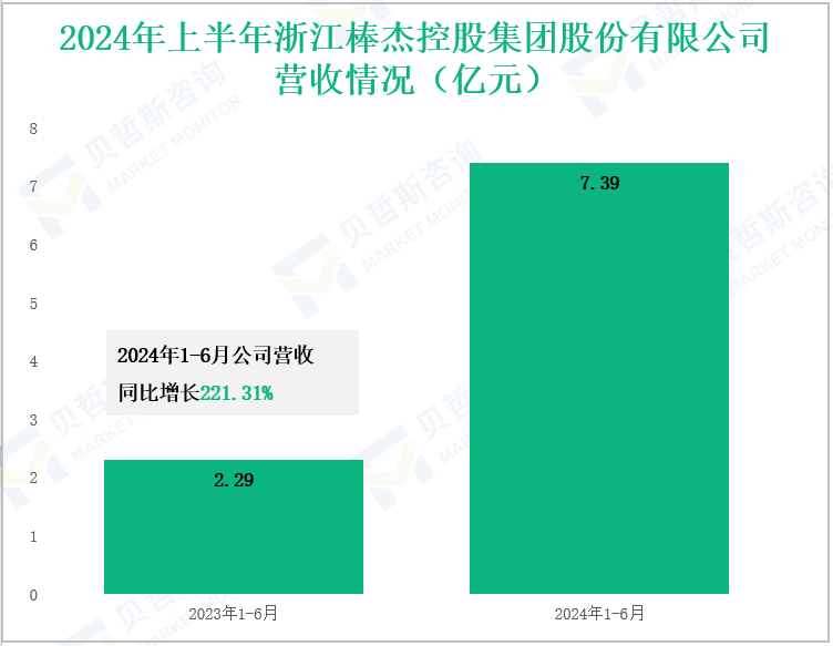 2024年上半年浙江棒杰控股集团股份有限公司营收情况(亿元)