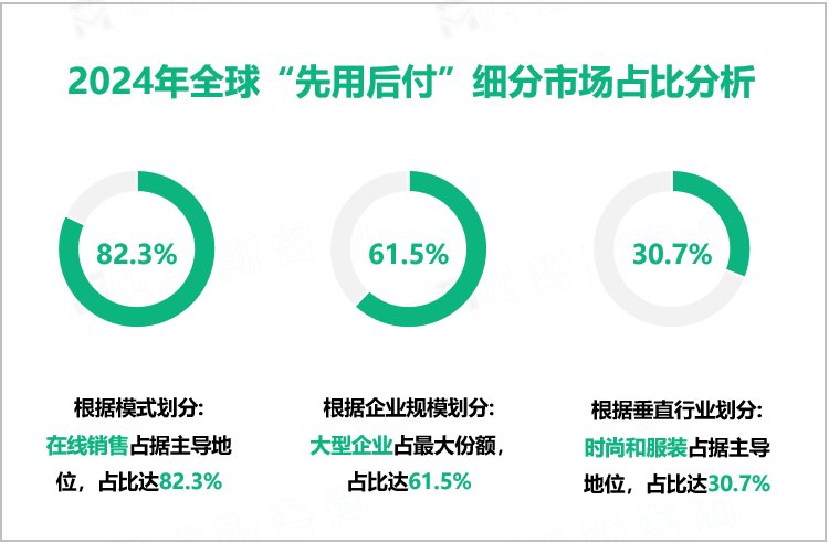 2024年全球“先用后付”细分市场占比分析