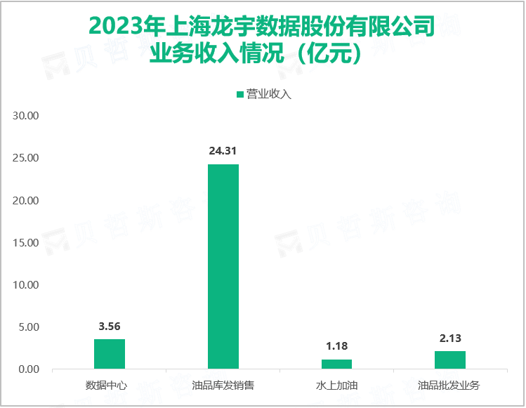 2023年上海龙宇数据股份有限公司业务收入情况（亿元）