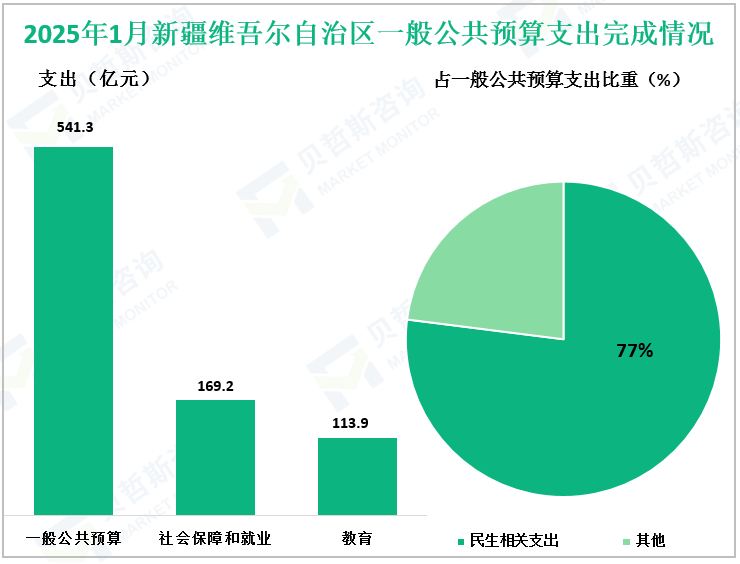 2025年1月新疆维吾尔自治区一般公共预算支出完成情况