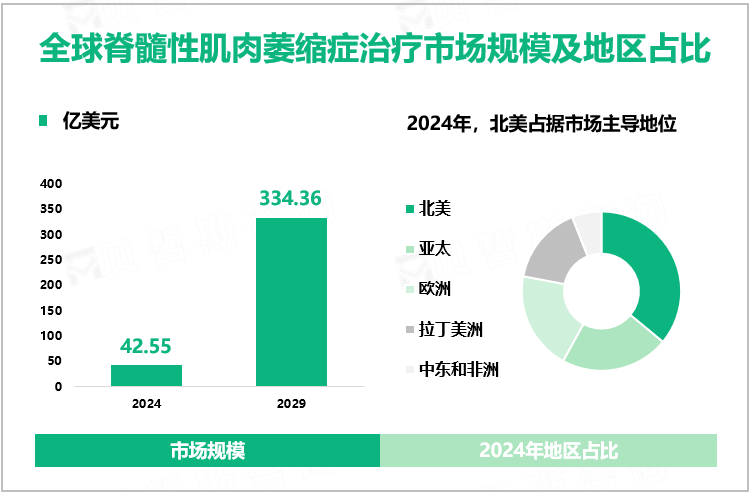 全球脊髓性肌肉萎缩症治疗市场规模及地区占比