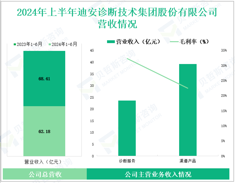 2024年上半年迪安诊断技术集团股份有限公司营收情况