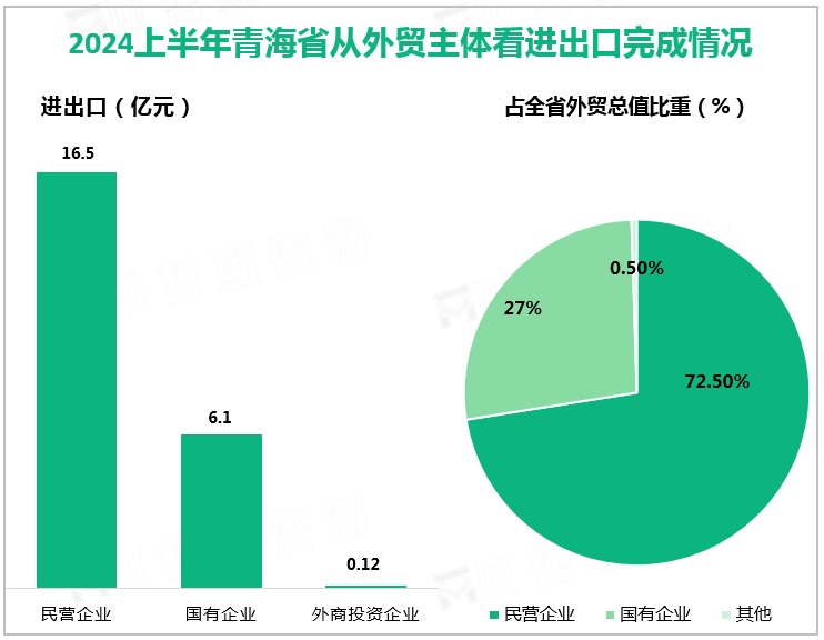 2024上半年青海省从外贸主体看进出口完成情况