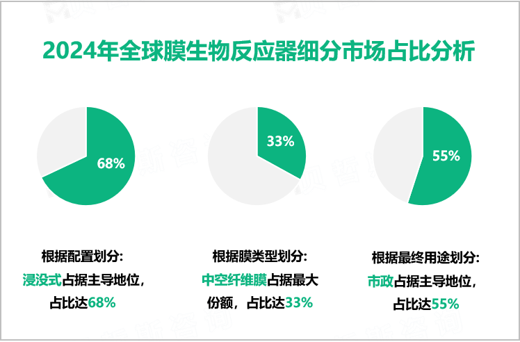 2024年全球膜生物反应器细分市场占比分析