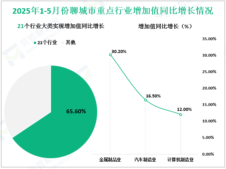 2025年1-5月份聊城市重点行业增加值同比增长情况