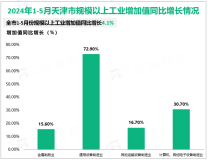 2024年1-5月份天津市规模以上工业增加值同比增长4.1%