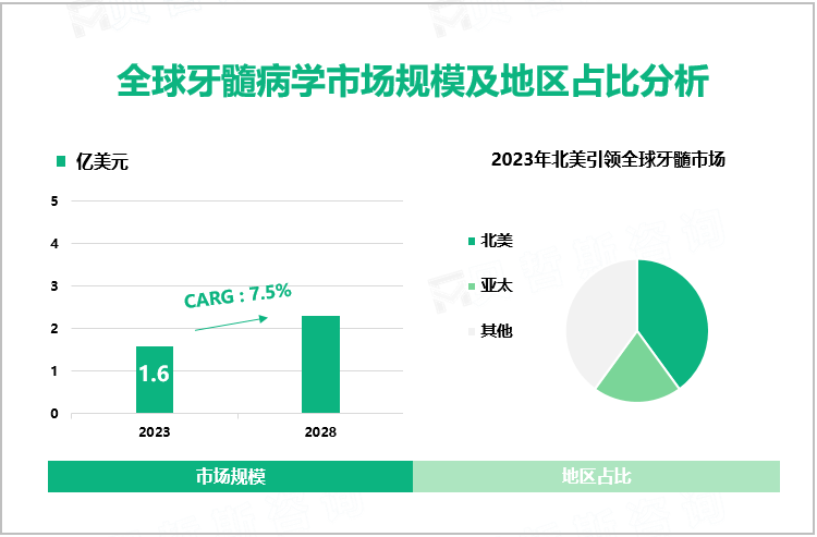 全球牙髓病学市场规模及地区占比分析