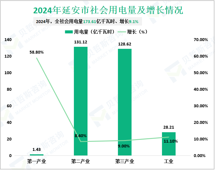 2024年延安市社会用电量及增长情况