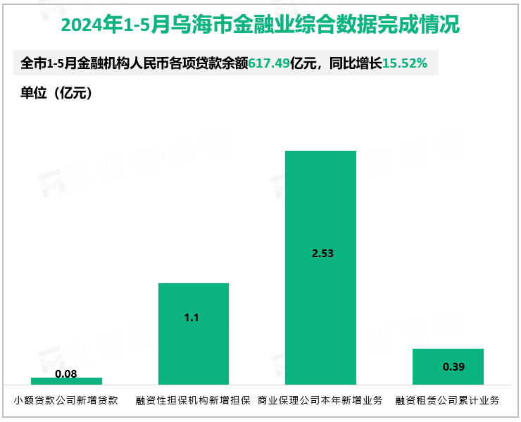 2024年1-5月乌海市金融业综合数据完成情况