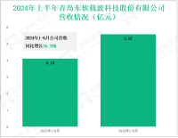 东软载波深耕能源物联领域，其营收在2024年上半年为5.57亿元