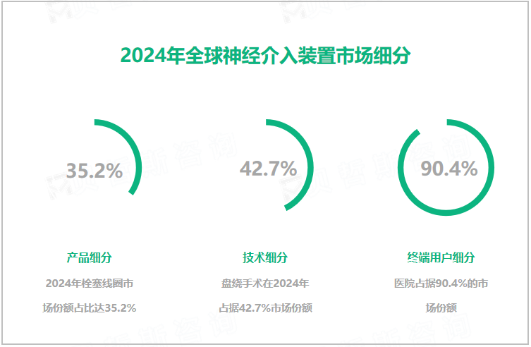 2024年全球神经介入装置市场细分