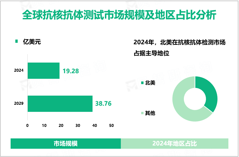 全球抗核抗体测试市场规模及地区占比分析