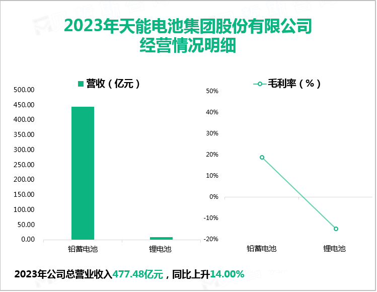 2023年天能电池集团股份有限公司经营情况明细