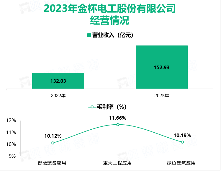 2023年金杯电工股份有限公司经营情况