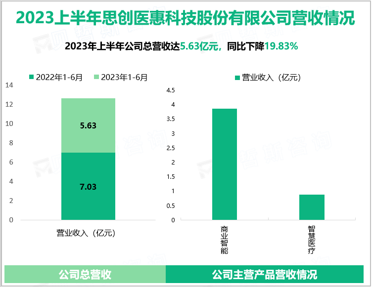 2023上半年思创医惠科技股份有限公司营收情况