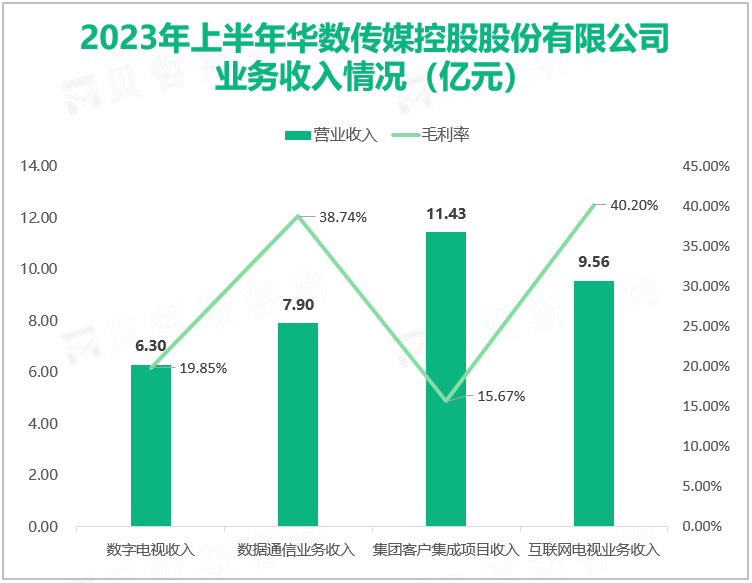 2023年上半年华数传媒控股股份有限公司 业务收入情况（亿元）