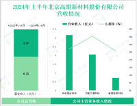 高盟新材深耕化工新材料领域，其营收在2024年上半年为6.23亿元