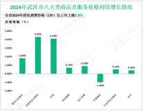 2024年武汉市实现社会消费品零售总额7931.87亿元，比上年增长5.3%