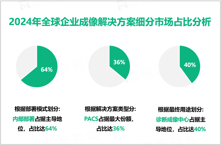 2024年全球企业成像解决方案细分市场占比分析